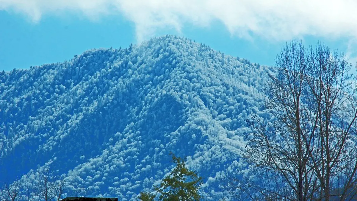 Frost-covered peak of Mount LeConte rising over the treeline in the Great Smoky Mountains, East Tennessee